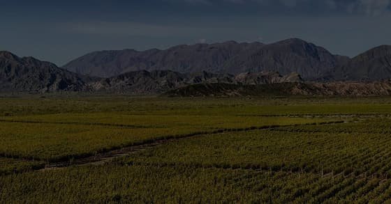 Bemberg Estate Wines