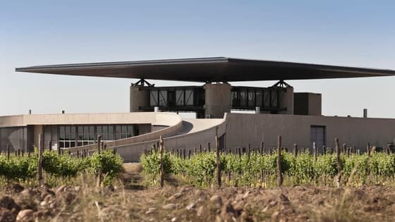 Bodega Alfa Crux