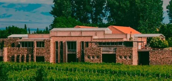 Bodega Enzo Bianchi