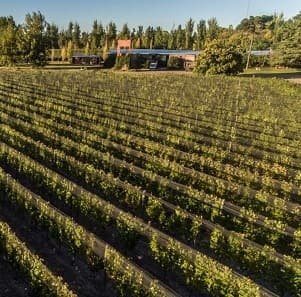Hacienda del Plata