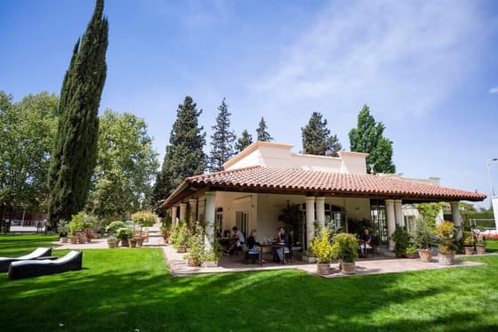 Terrazas de los Andes
